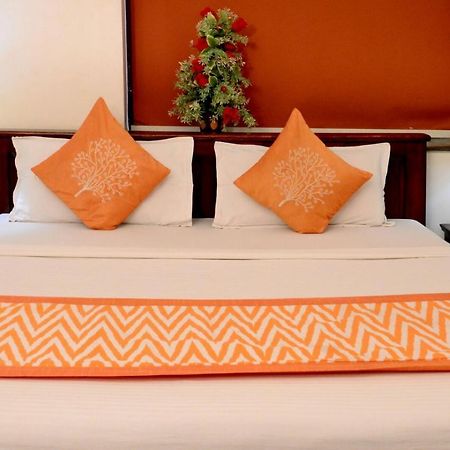 Shree Mohan Home Stay- A Heritage Home Jodhpur  Exteriör bild